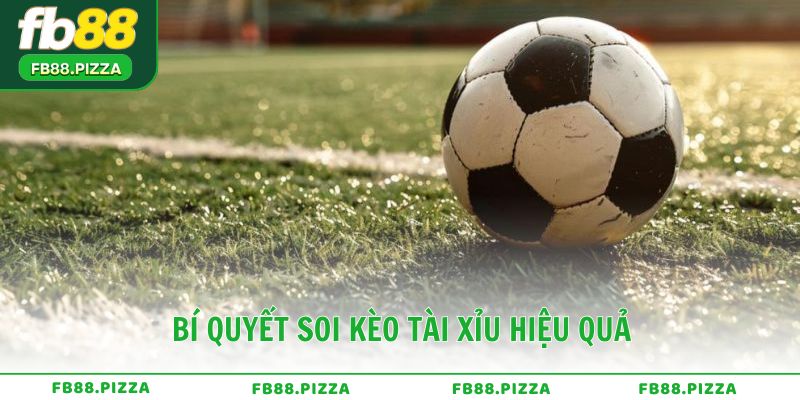 Bí quyết soi kèo và chiến lược đặt cược tài xỉu hiệu quả