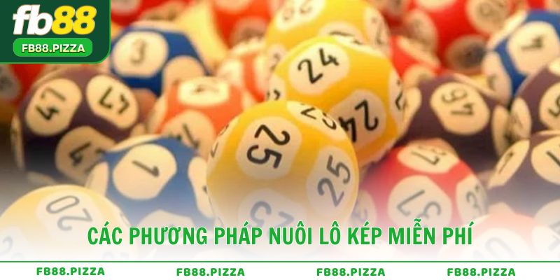 Các phương pháp nuôi lô kép miễn phí phổ biến hiện nay
