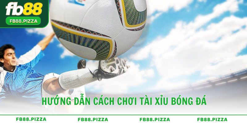Hướng dẫn chi tiết cách chơi tài xỉu bóng đá cho người mới