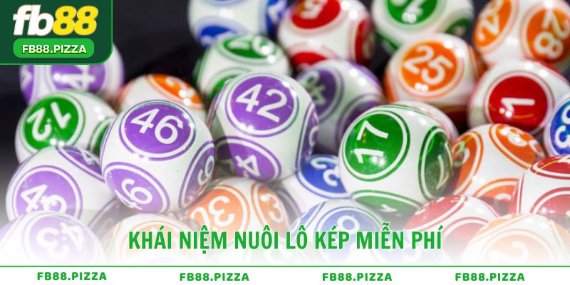 Khái niệm và nguyên lý hoạt động của nuôi lô kép miễn phí