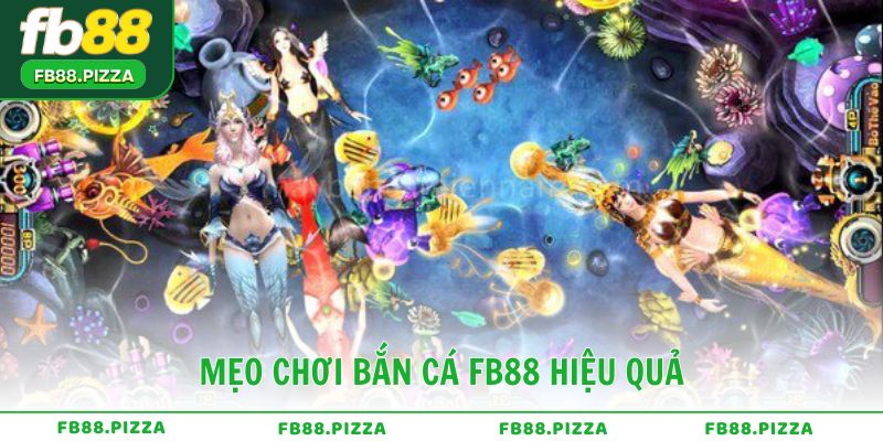 Mẹo chơi Bắn Cá FB88 hiệu quả cho người mới
