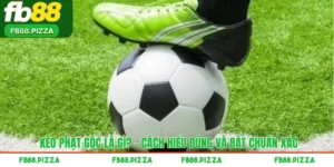 Kèo Phạt Góc Là Gì? - Cách Hiểu Đúng Và Bắt Chuẩn Xác