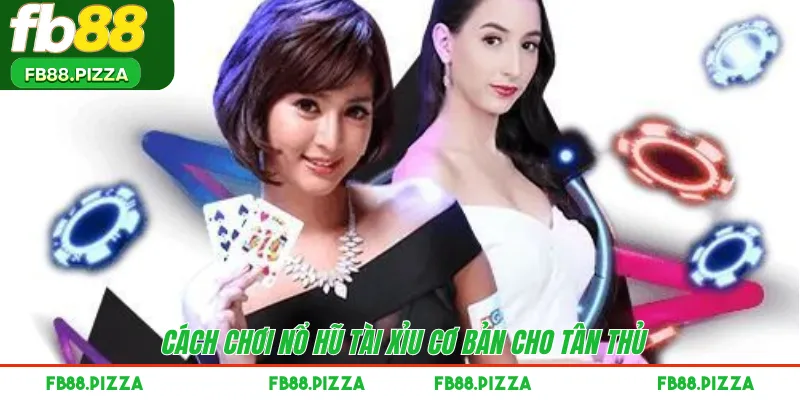 Cách chơi nổ hũ tài xỉu cơ bản cho tân thủ 