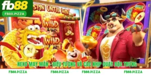 Neko May Mắn – Biểu Tượng Và Các Nhịp Quay Đặc Trưng