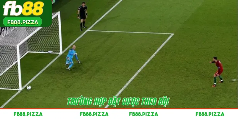 Trường hợp đặt cược theo đội