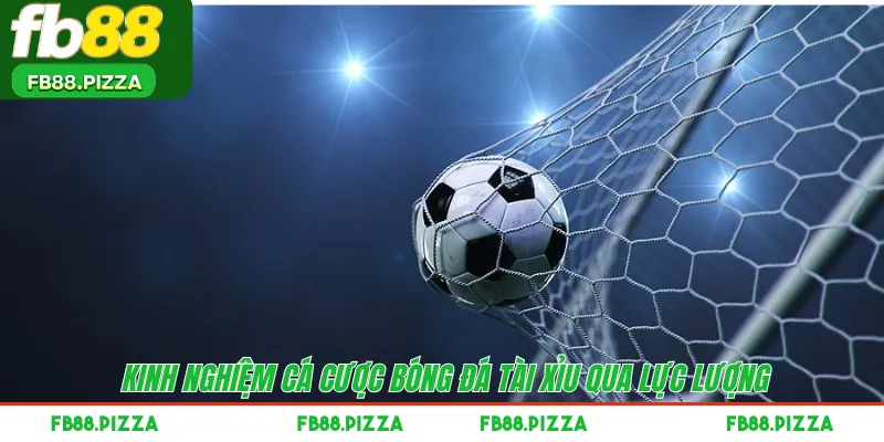 Kinh nghiệm cá cược bóng đá tài xỉu qua lực lượng 