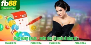 Xổ Số Quina Brazil – Phân Tích Lối Chơi Dễ Nắm Số 1