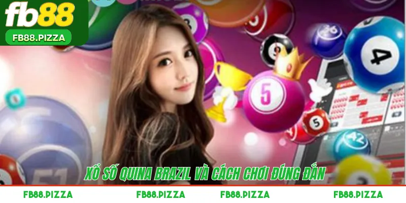 Xổ số Quina Brazil và cách chơi đúng đắn 